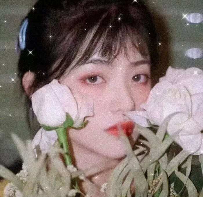 梦见狮子